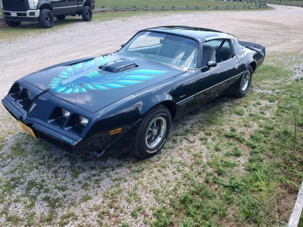 1979 Pontiac Firebird Trans Am